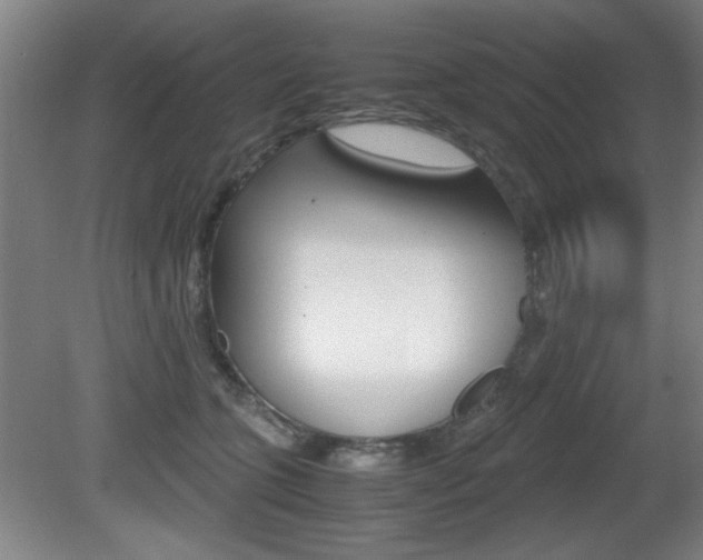 X0000080700563200612150839