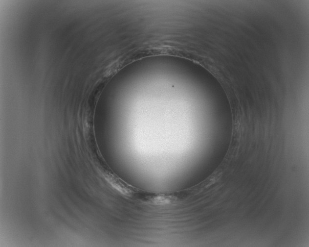X0000080700566200612150840