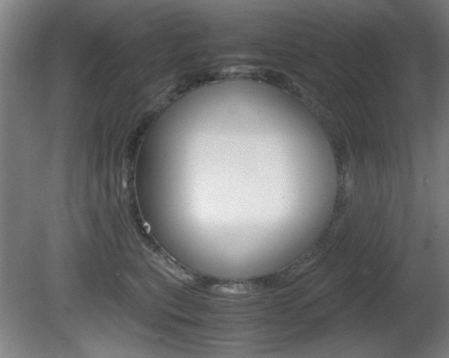 X0000080700567200612150840