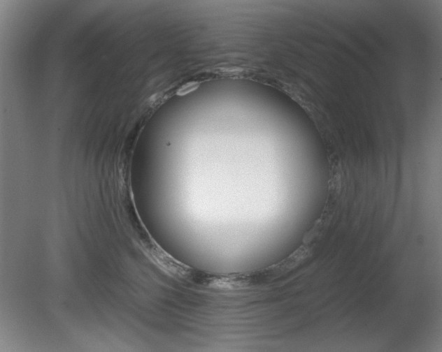 X0000080700568200612150840