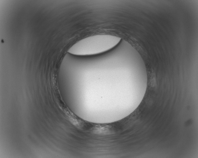 X0000080700569200612150840