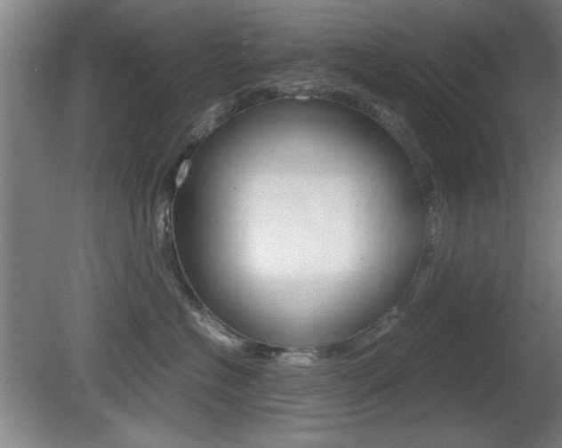 X0000080700574200612150840