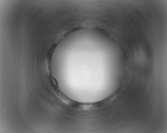 X0000080700575200612150840