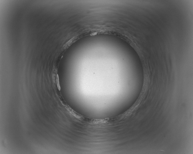 X0000080700576200612150840