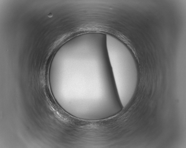 X0000080700578200612150839