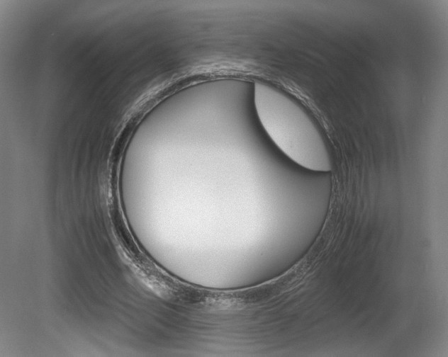 X0000080700582200612150839
