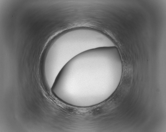X0000080700583200612150839