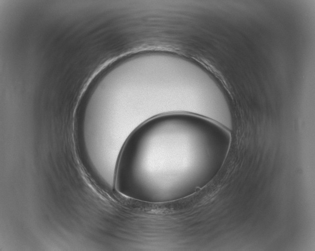 X0000080700584200612150839
