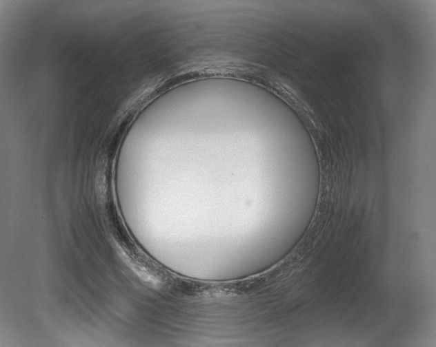 X0000080700586200612150839