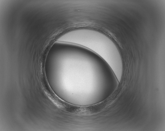 X0000080700589200612150839