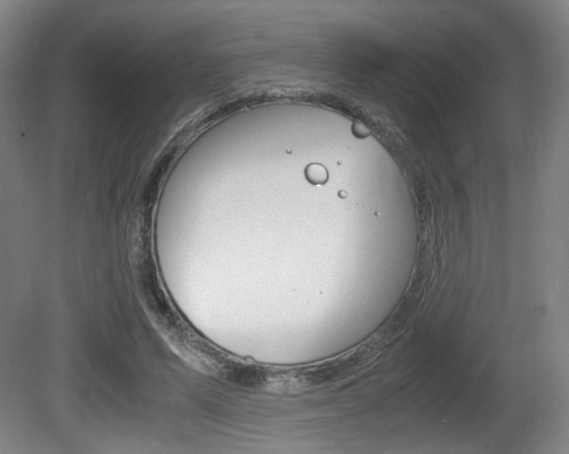 X0000080700591200612150839