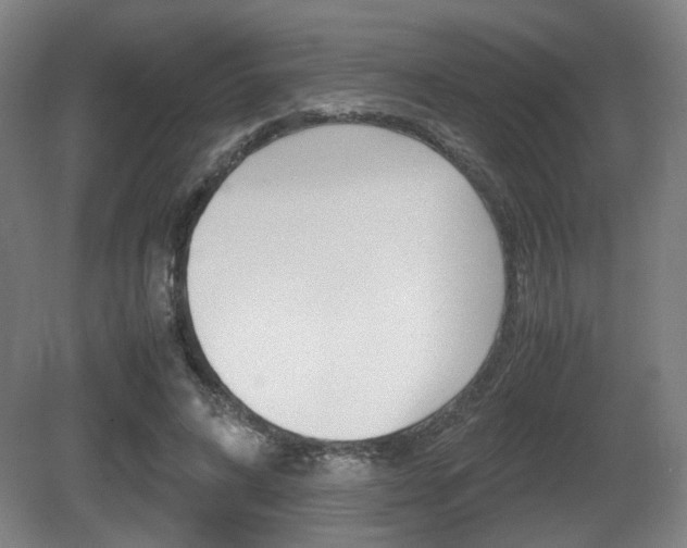 X0000080700592200612150839