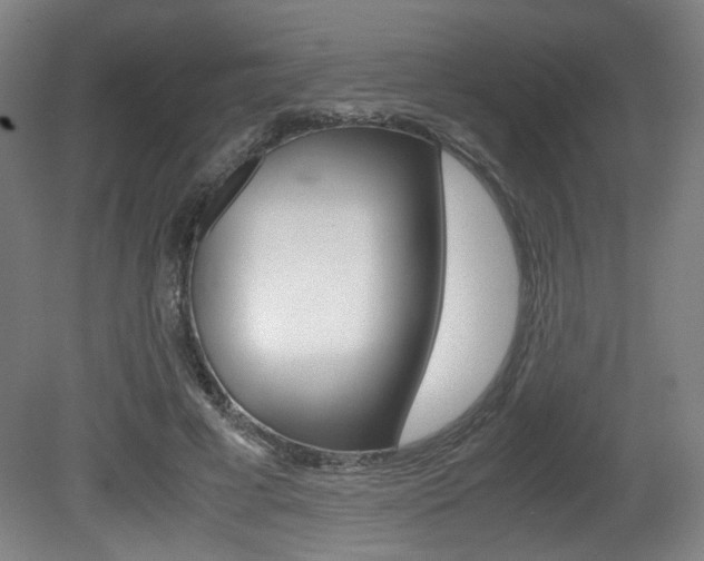X0000080700593200612150839
