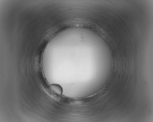 X0000080700594200612150839