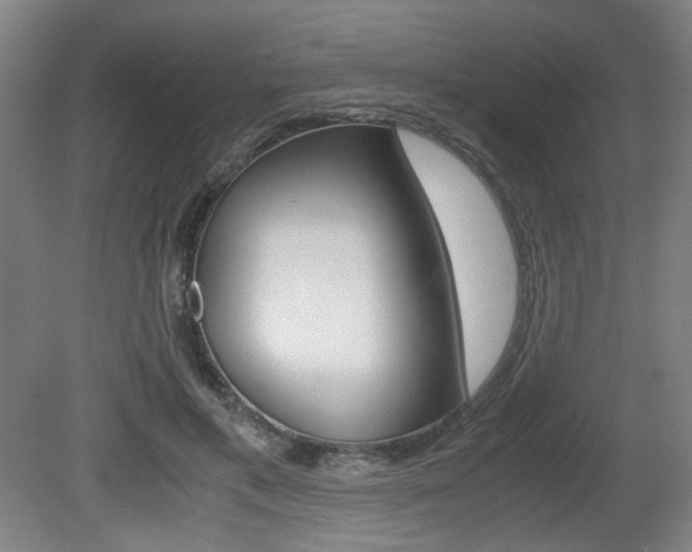 X0000080700597200612150839