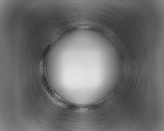 X0000080700598200612150839