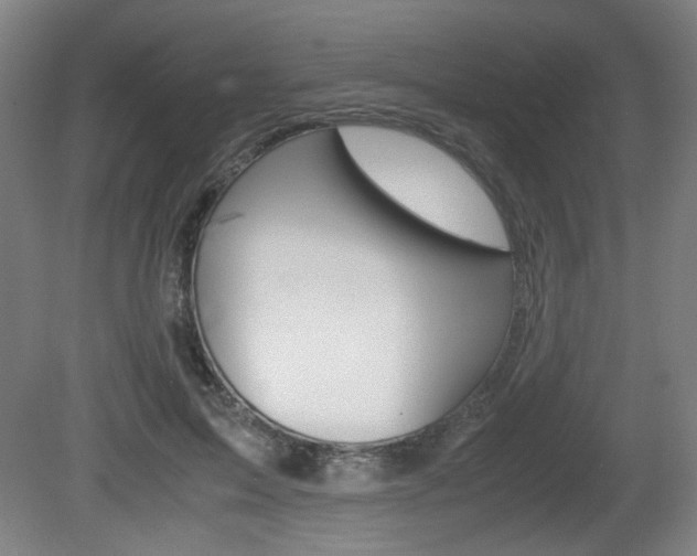 X0000080700599200612150839