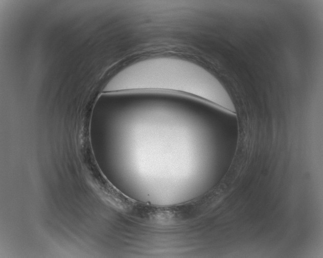 X0000080700600200612150838