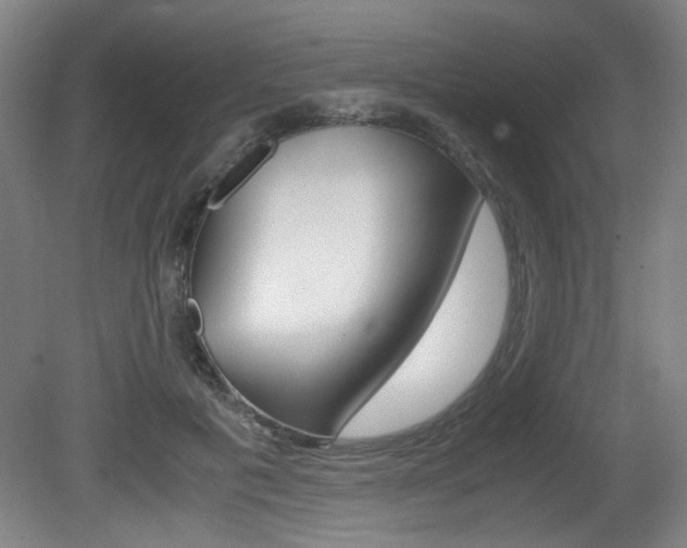 X0000080700601200612150838