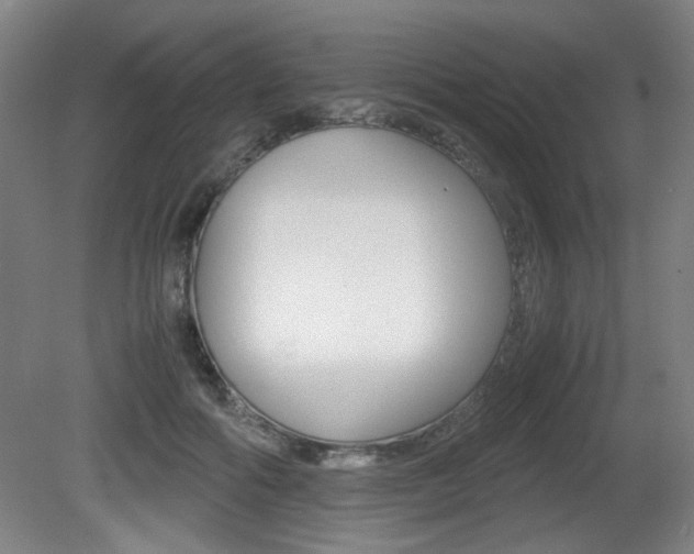 X0000080700602200612150838