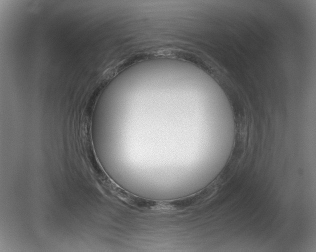 X0000080700603200612150838