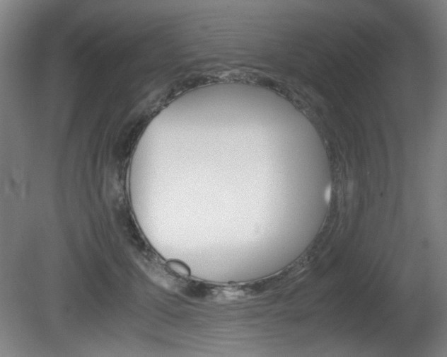X0000080700607200612150838