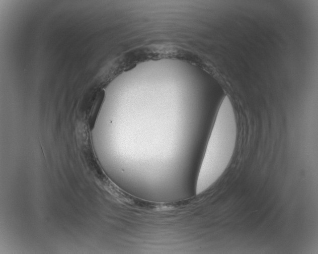 X0000080700609200612150838
