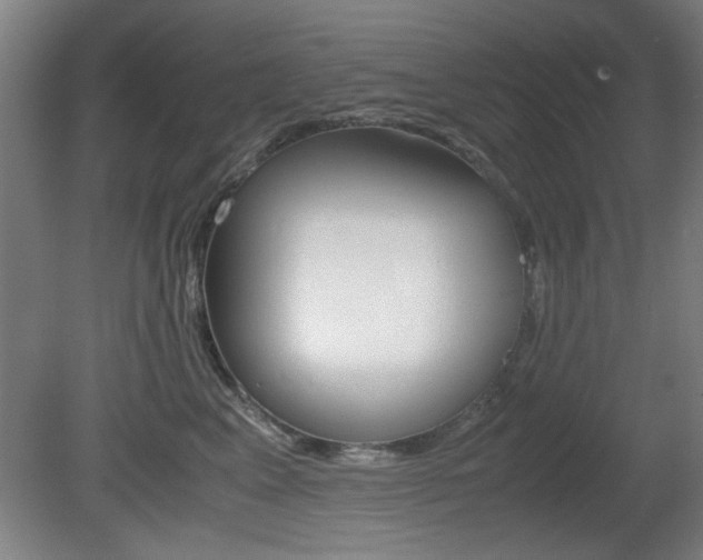 X0000080700617200612150838