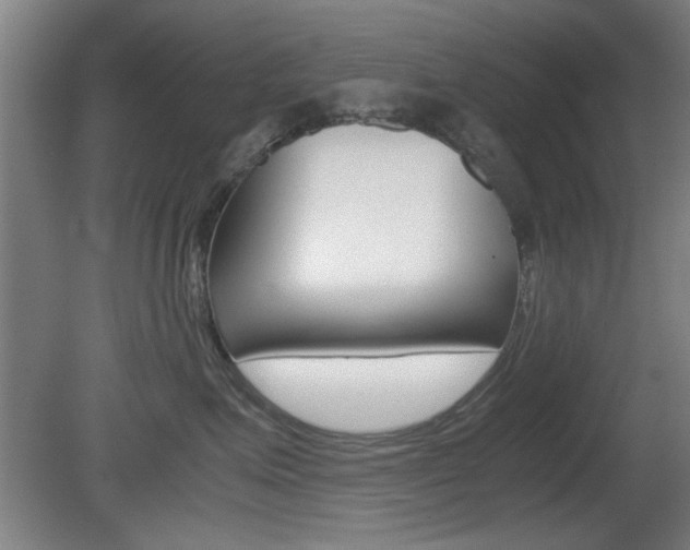 X0000080700623200612150838