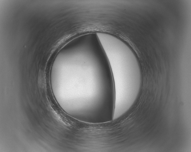X0000080700626200612150837