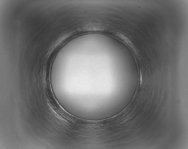 X0000080700627200612150837