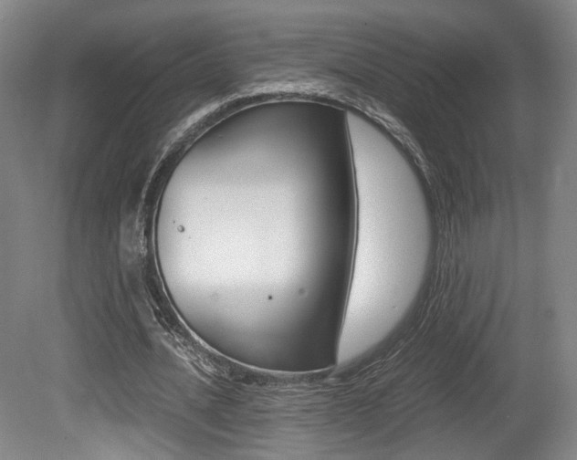 X0000080700628200612150837