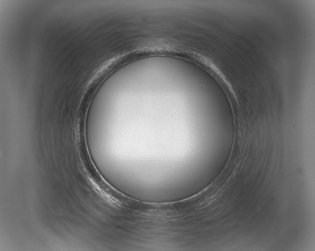 X0000080700629200612150837