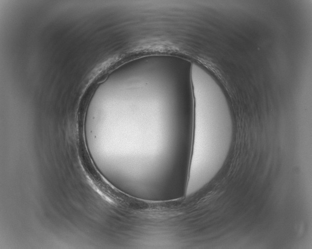 X0000080700630200612150837