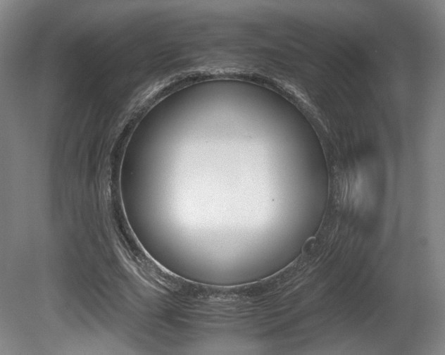 X0000080700631200612150837