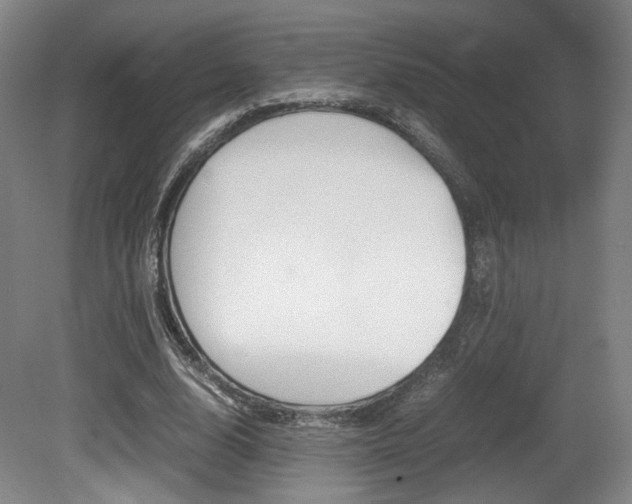 X0000080700632200612150837