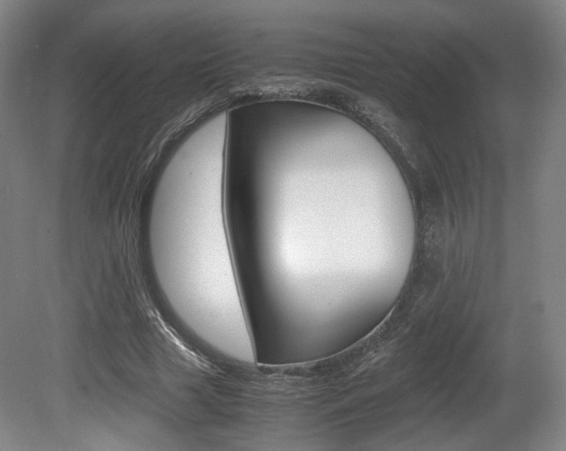X0000080700633200612150837