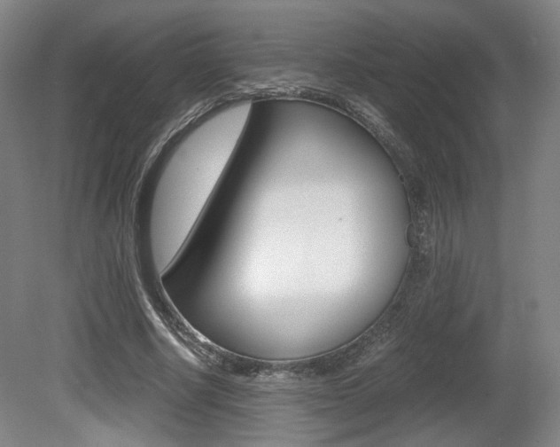 X0000080700634200612150837