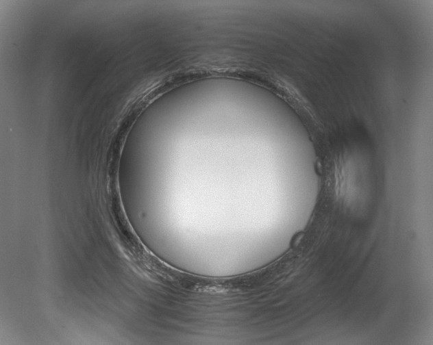 X0000080700635200612150837