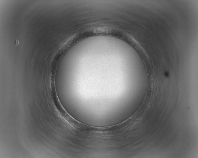 X0000080700637200612150837