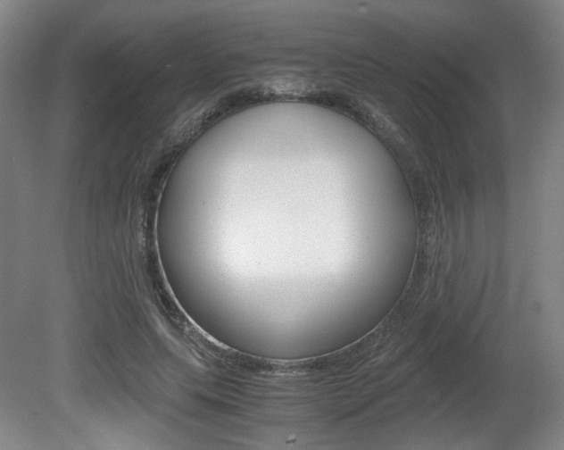 X0000080700639200612150838