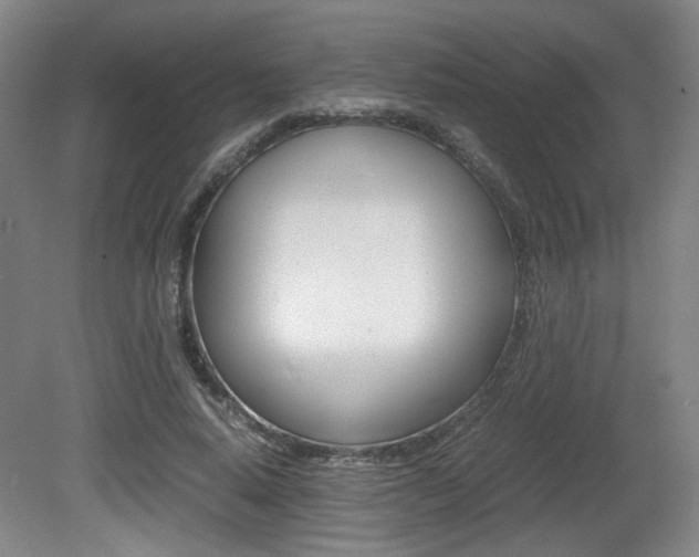 X0000080700640200612150838