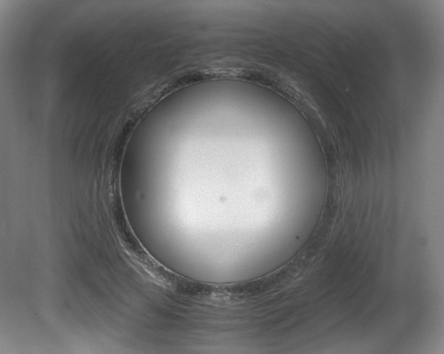 X0000080700641200612150838