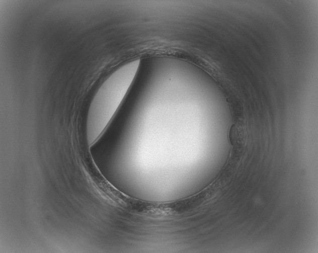 X0000080700642200612150838