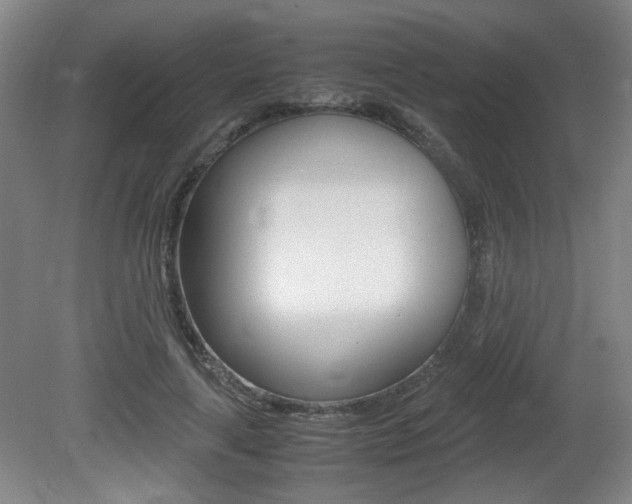 X0000080700643200612150838