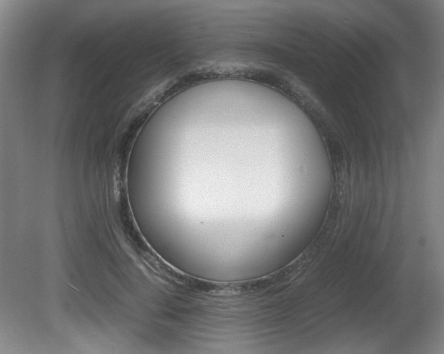 X0000080700644200612150838