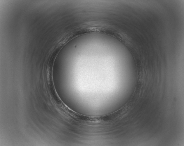 X0000080700646200612150838