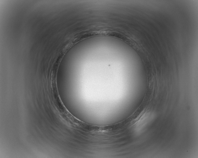 X0000080700647200612150838