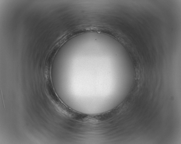 X0000080700648200612150838