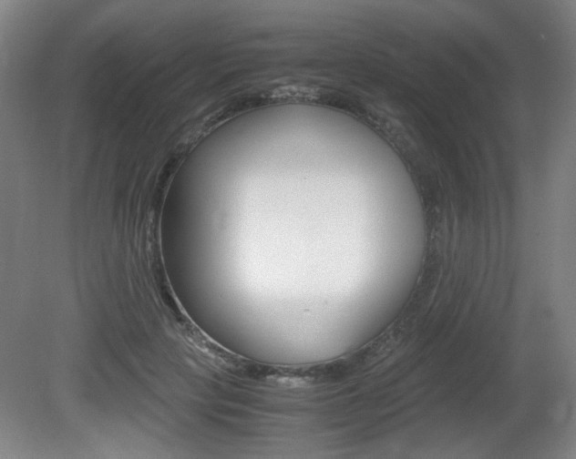 X0000080700649200612150838